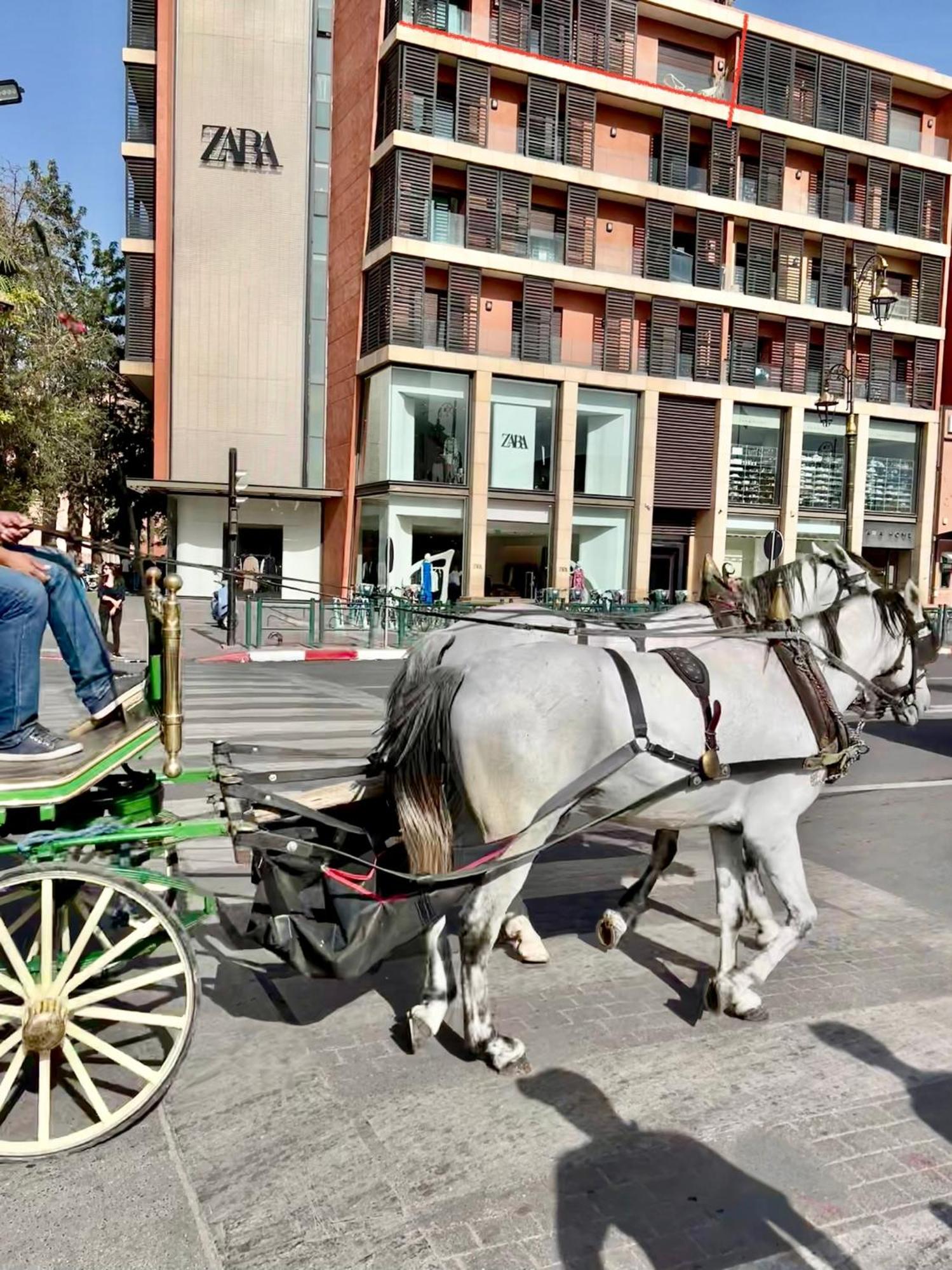 מרקש Zara Apartments Marrakech מראה חיצוני תמונה